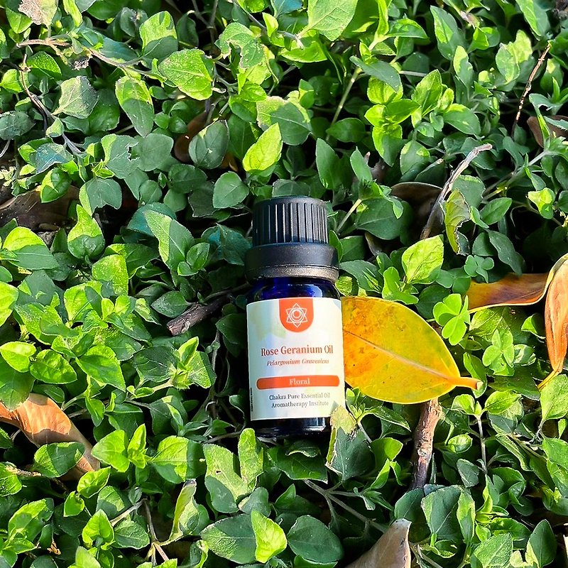Yizaotang second chakra navel chakra-rose geranium single essential oil - Fragrances - Other Materials Orange