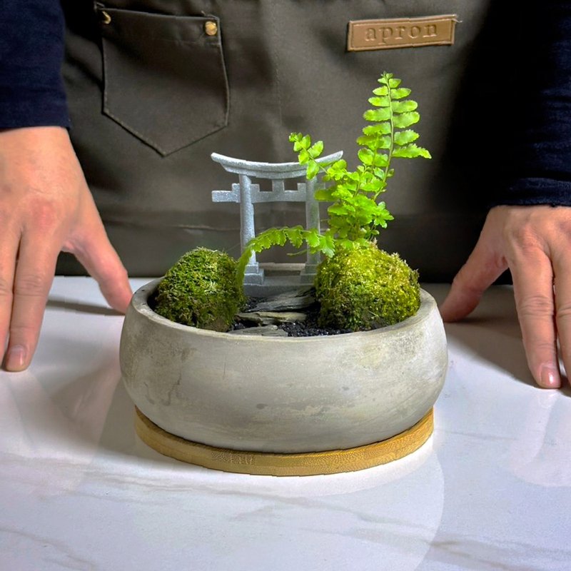 自然苔玉美學 – 靜徑 - 植栽/盆栽 - 植物．花 