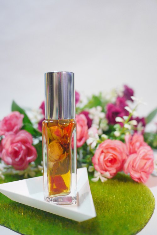 winter rose perfume