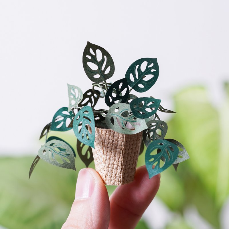 DIY Kit - Forever Green - Monstera adansonii 9028403 PaperNthought - งานไม้/ไม้ไผ่/ตัดกระดาษ - กระดาษ สีเขียว