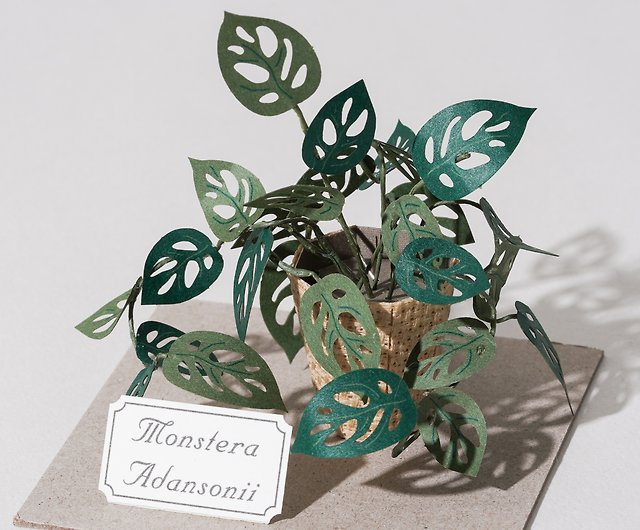 Paper Monstera Plant DIY Kit – Lovepop
