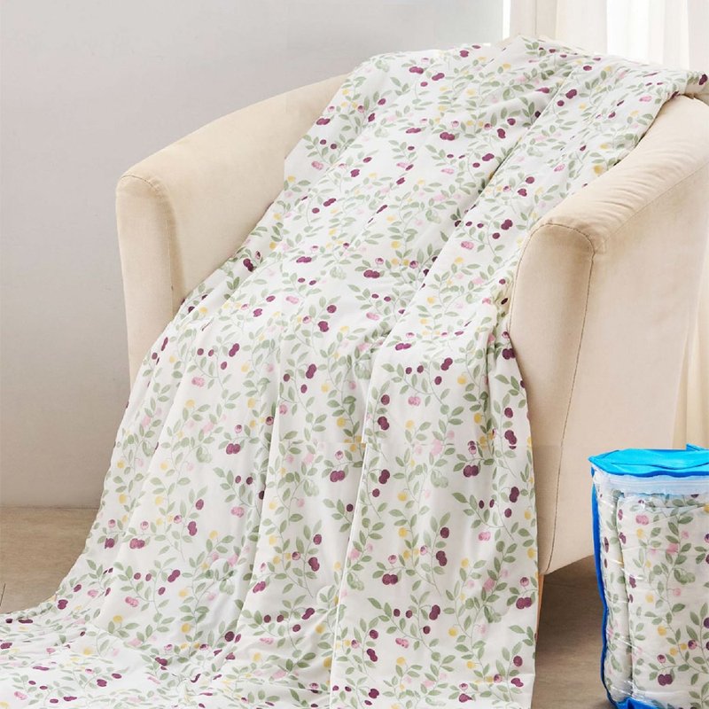 [ELVIS] Korean style beauty zero degree ice gauze quilt 150x200cm-Shiyun - Bedding - Other Materials 