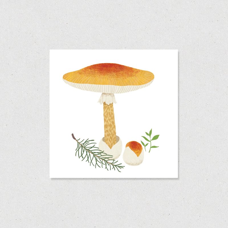 Mini 3cards Set /  Orange mushroom - Cards & Postcards - Paper Orange