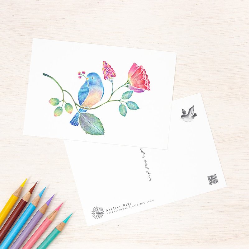 5枚セット。絵本のような。ポストカード "青い小鳥と草花" PC-512 - 卡片/明信片 - 紙 藍色