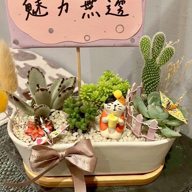 冬至柚子茶 貓 台中多肉組盆 多肉植物 植栽送禮 生日 日本decole - 盆栽/植栽 - 植物．花 綠色