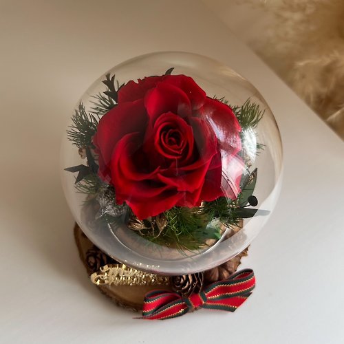 追夢人商社 聖誕禮物 I 永生玫瑰玻璃球 I 可客製 聖誕佈置 不凋雪松