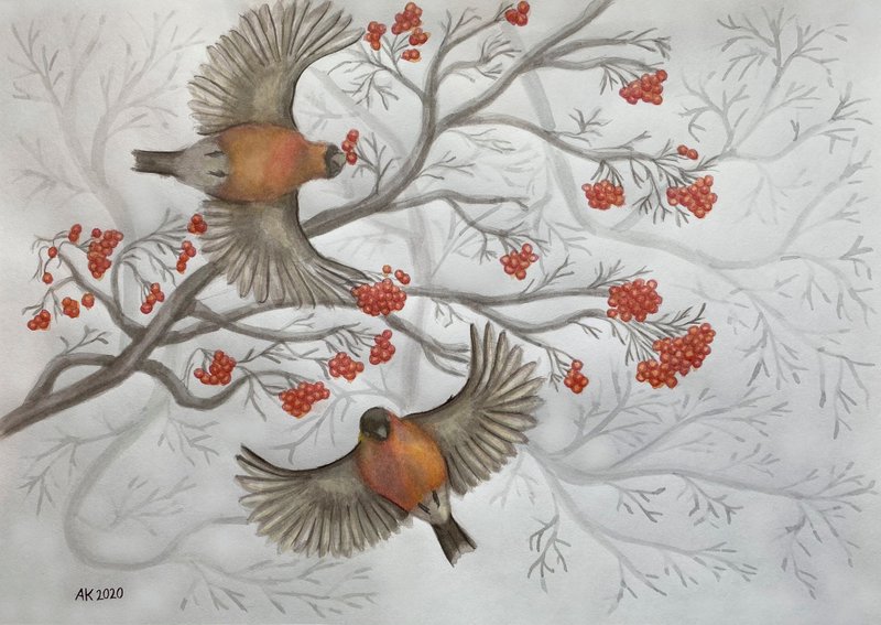 Winter Birds watercolour painting, bullfinch bird art, home design, rowan berry - 壁貼/牆壁裝飾 - 其他材質 白色
