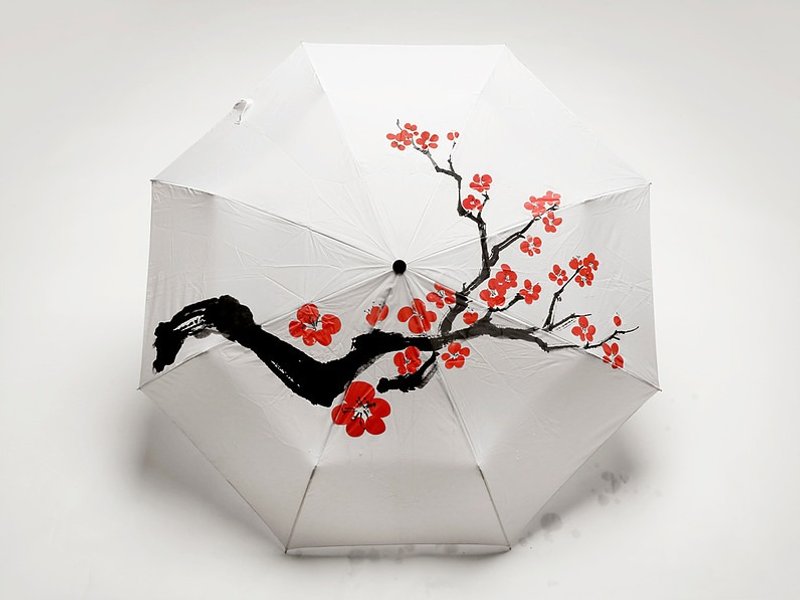Raindom 櫻花變色雨傘 - 雨傘/雨衣 - 防水材質 白色