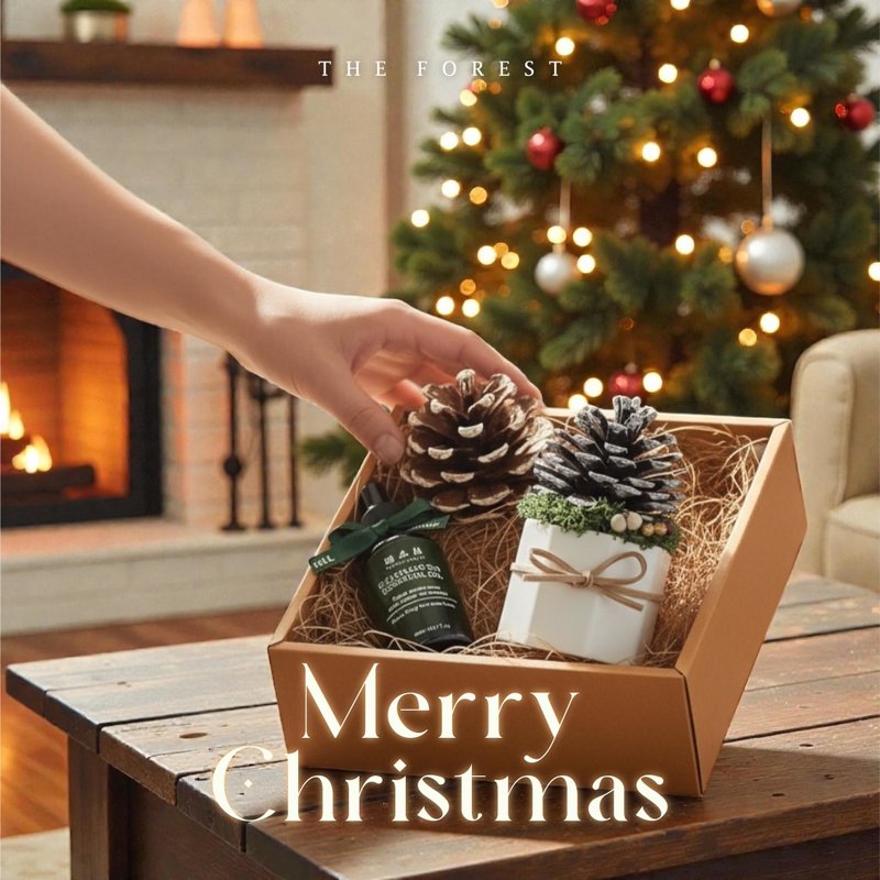 Lucky Pinecone聖誕雪花松果擴香禮盒 - 香氛/精油/擴香 - 植物．花 卡其色