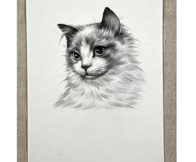 Custom Cat hot Portrait, Cat Memorial, Charcoal Drawing, Pet Portrait, Pencil Drawing, Cat Portrait, Personalized Cat Gift, Cat Remembrance