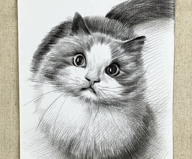 Custom Cat Drawing, Pet Portrait, Gift top for Cat Lover, Pencil Drawing of Cat, Pencil Sketch of Cat, Custom Cat Drawing, Custom Dog Portrait