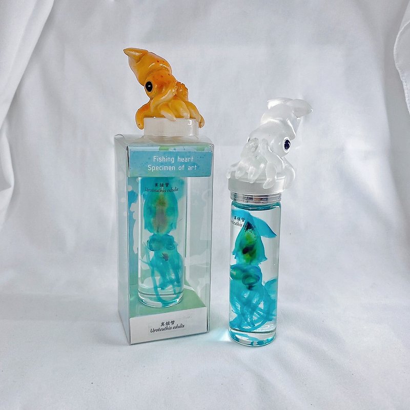 【Real Lock Tube Uroteuthis edulis (Through Pumping) Specimen Bottle Cap Set】 - Stuffed Dolls & Figurines - Resin Orange