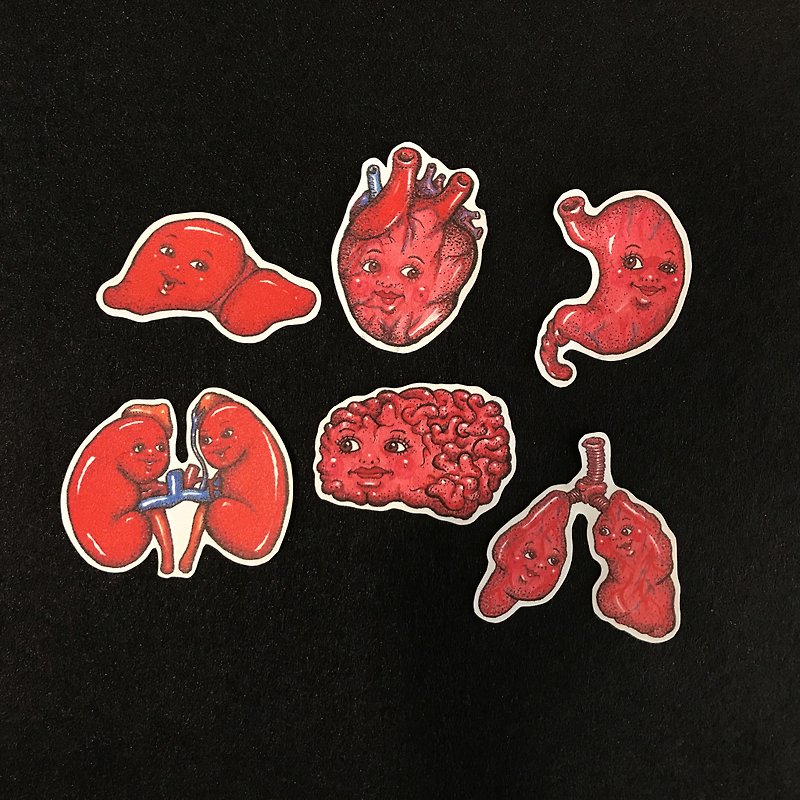 The Mystery of the Human Body Internal Organs Friends Sticker Set 6pcs - สติกเกอร์ - กระดาษ 