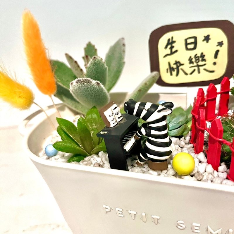 Zebra Pianist Piano Concert Gift Succulent Potted Plant Succulent Pot Micro Landscape Customized Gift - ตกแต่งต้นไม้ - พืช/ดอกไม้ สีเขียว