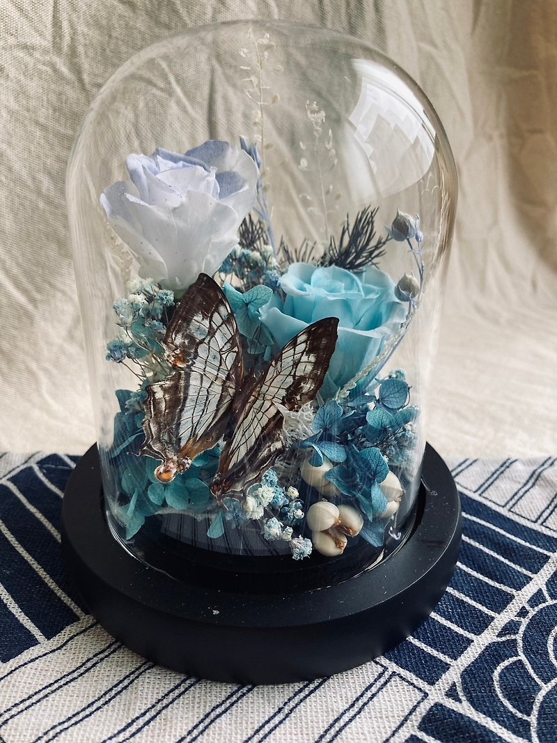 Butterfly Specimen Glass Cup - Ishigaki Butterfly Love/Valentine's Day/Dried Flowers/Glass Cup/Ecological Bottle/Eternal Flowers - Dried Flowers & Bouquets - Plants & Flowers Blue