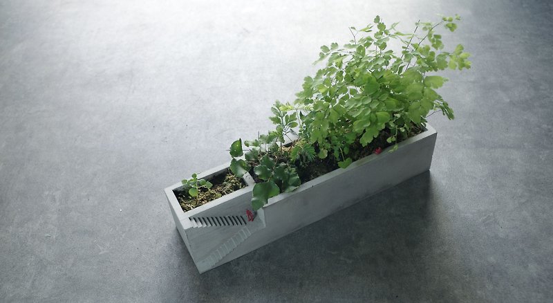 Object No.6_The Stair_concrete planter - Plants - Cement Gray