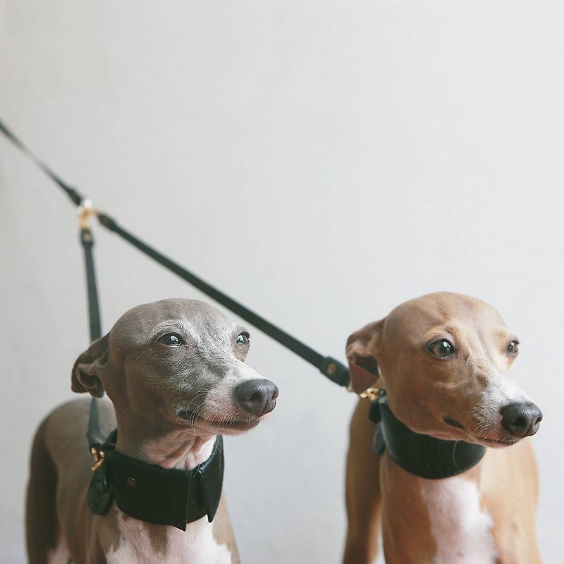 Pet leash-สายจูงคู่สัตว์เลี้ยงคลาสสิค หนังนิ่มแท้ สายจูงน้ำหนักเบา | Sniff