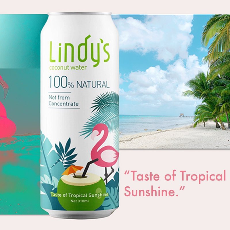【泰國 Lindys】100%原味椰子水*24入 - 果汁/蔬果汁 - 其他材質 