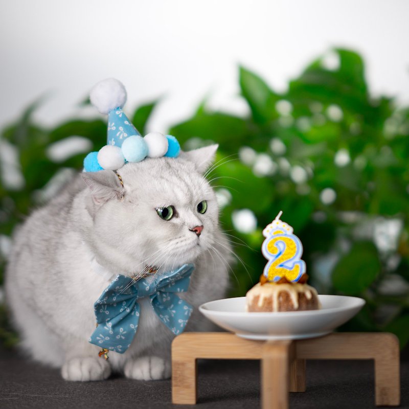 夢幻樂園生日套裝-適合貓貓/狗狗-現貨 - 寵物衣服 - 棉．麻 藍色