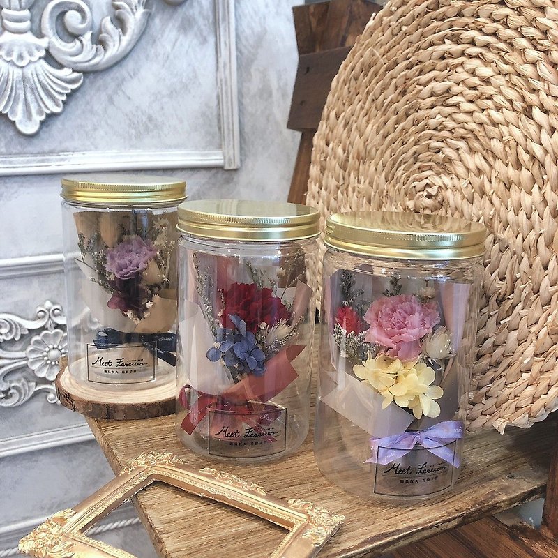[Meet Hengjiu] Mother's Day Preserved Carnation Bouquet Flower Pot in Three Colors - Dried Flowers & Bouquets - Plants & Flowers 