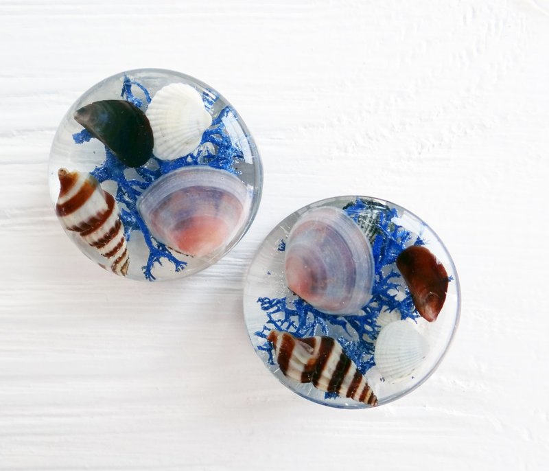 Sea Shell plug earrings 2g 0g 00g 44m 19mm gauges Blue moss Terrarium - 耳環/耳夾/耳骨夾 - 貝殼 藍色