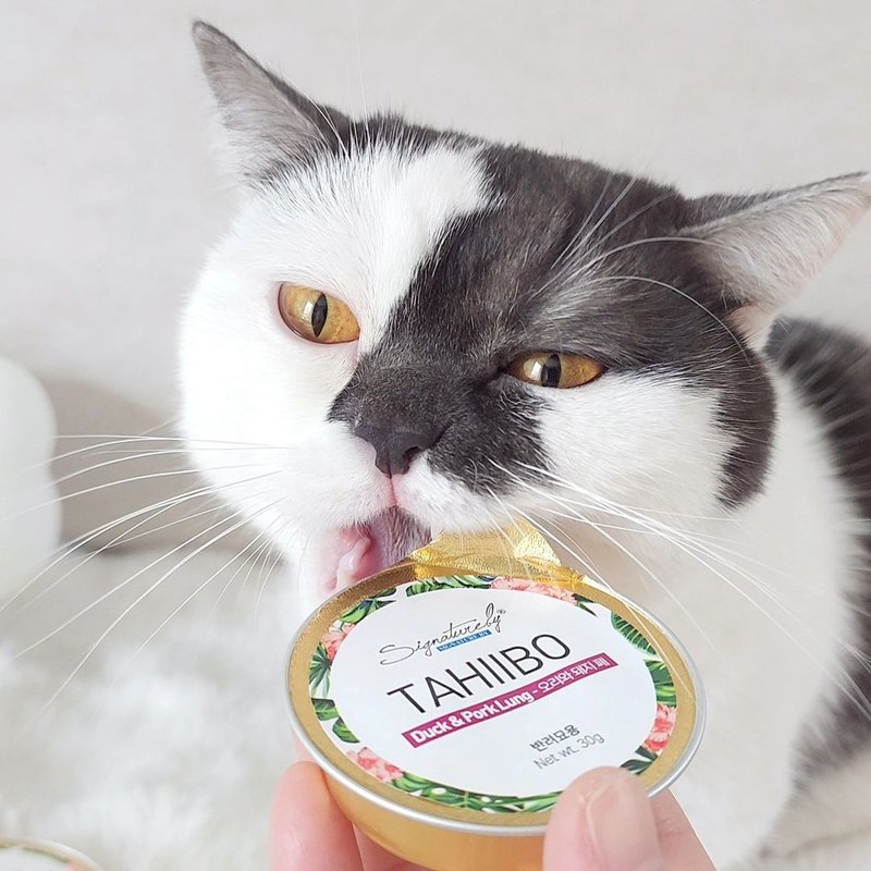 貓罐 大喜寶健康小金罐 維持免疫力 30gX8裝 無膠肉泥 - 貓罐頭/鮮食 - 其他材質 白色