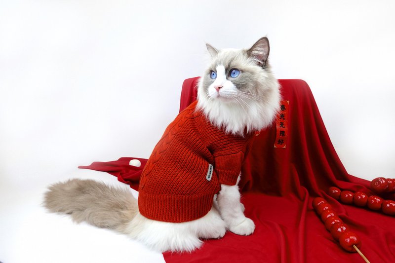 Red chunky knit pet sweater sweater for pets - ชุดสัตว์เลี้ยง - ขนแกะ สีแดง