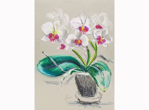 Nataly Mak Orchid Oil Pastel Painting White Floral Original Wall Art Flower Decor 12x8''