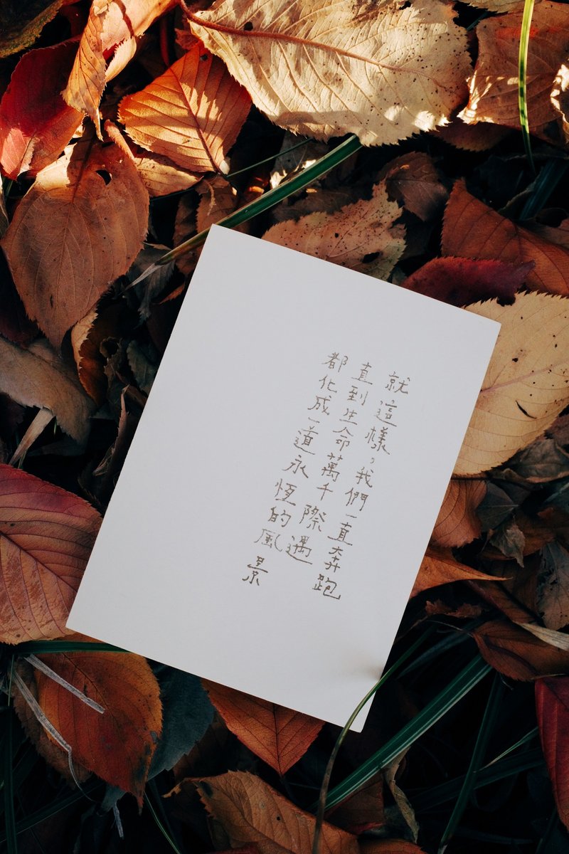 此時此刻。直到生命化成一道永恆的風景 文字明信片 青青的島 - 心意卡/卡片 - 紙 