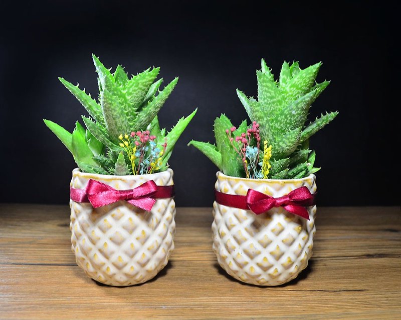 Want Want to Pineapple Potted - Multi-meat New Year Birthday Opening Gift Spring - Plants - Plants & Flowers Green
