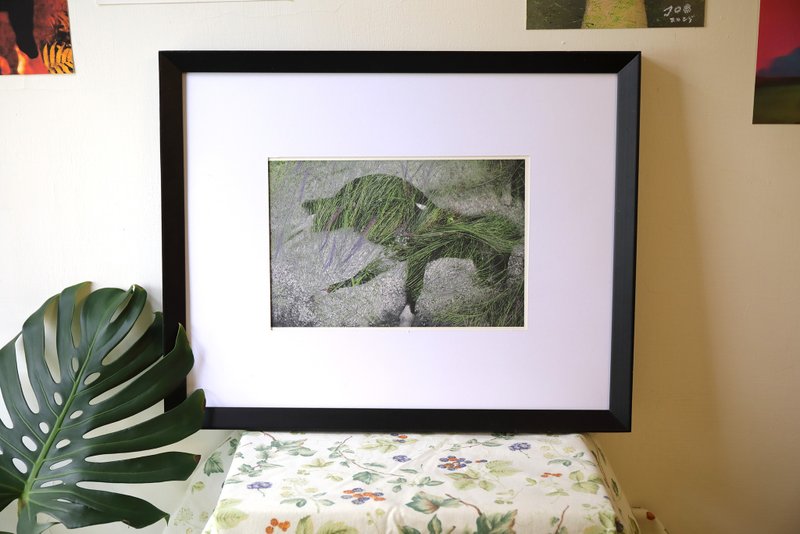 風之又三郎 - 攝影集 - 紙 