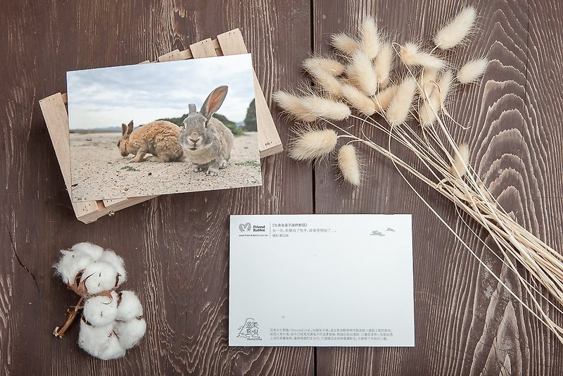 Rabbit Photography Postcard-Conversation after turning into a rabbit - การ์ด/โปสการ์ด - กระดาษ สีกากี
