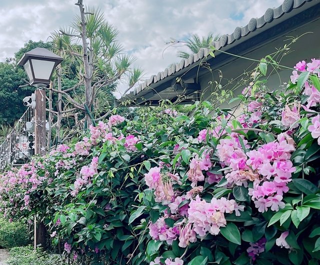 油彩　雨上がりの午後、明日の予報は晴れ 油彩 雨上がりの午後、明日の予報は晴れ