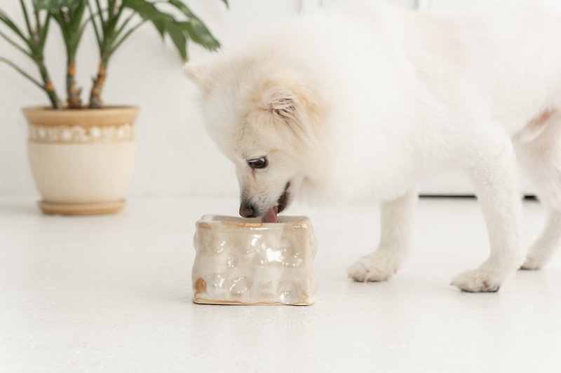 decoboko pet bowl, Cat bowl,Dog bowl,Puppies bowl,Food bowl - Pet Bowls - Pottery White