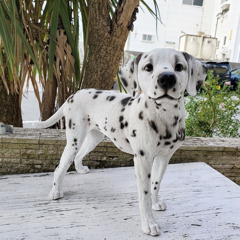 Devalier CA148 [Genuine Product] Dog Figurine Dalmatian Resin Gift Cute Birthday Present - ของวางตกแต่ง - เรซิน ขาว