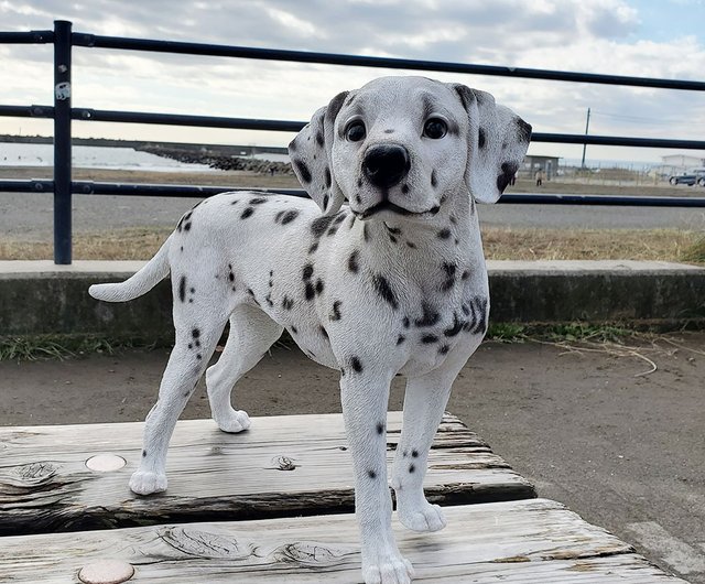 デバリエ ca148【正規品】犬の置物 ダルメシアン レジン製 ギフト