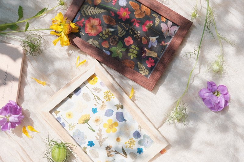 Tell with flowers / 花語之間 DIY押花相框套組 手作 創作 - 相框/畫框 - 植物．花 多色