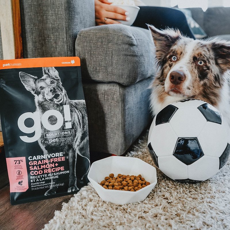 [Dog staple food] go! Ocean salmon cod whole dog high meat content series grain-free dog food recommended by WDJ - Dry/Canned/Fresh Food - Fresh Ingredients 