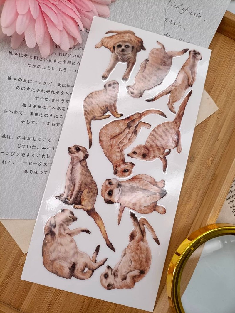5K023_五口美 _ 狐蒙B_Meerkat B/轉印貼紙 - 貼紙 - 其他材質 多色