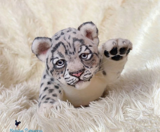 white baby leopard