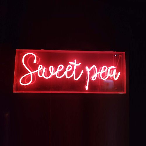 霓虹燈客制 Sweet pea霓虹燈LED發光字Neon Sign廣告招牌Logo餐廳酒吧裝飾