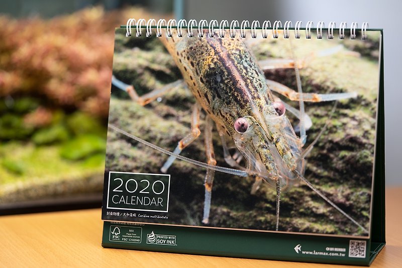 2020水族館写真デスクカレンダー - カレンダー - 紙 グリーン