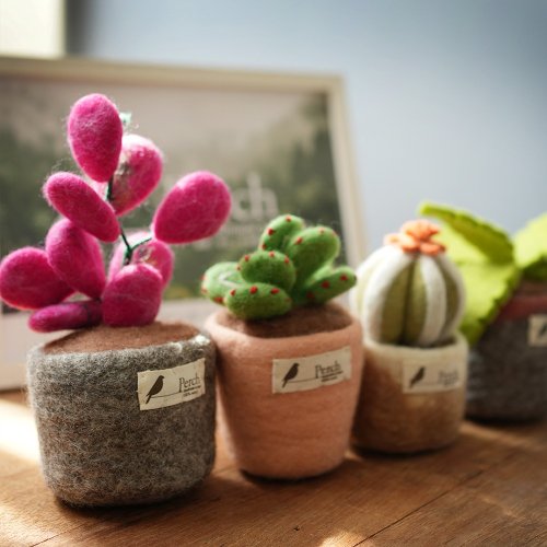 Perch棲息文創-公平貿易 天然纖維 手工製作 100% Wool羊毛氈手工植栽 公平貿易