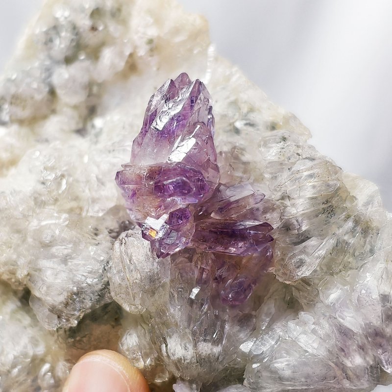 骨幹 紫水晶 權杖 權力 智慧 招財 頂輪 原礦擺件 收藏 單品 禮物 - 擺飾/家飾品 - 寶石 紫色