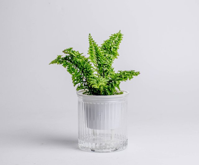 【新品未開封】 ミニ 植木鉢 フシギダネ ミニ植木鉢 フシギダネ ｜【公式】ポケモンセンターオンライン