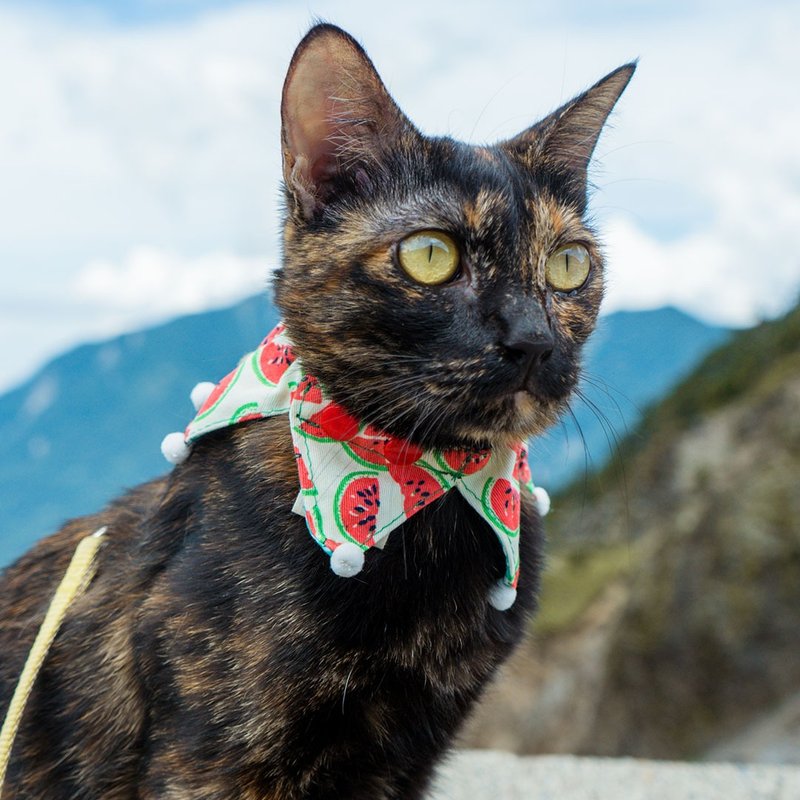 Pet Scarf // watermelon/ Clown // Cat Scarf / Dog Scarf - Clothing & Accessories - Cotton & Hemp Green