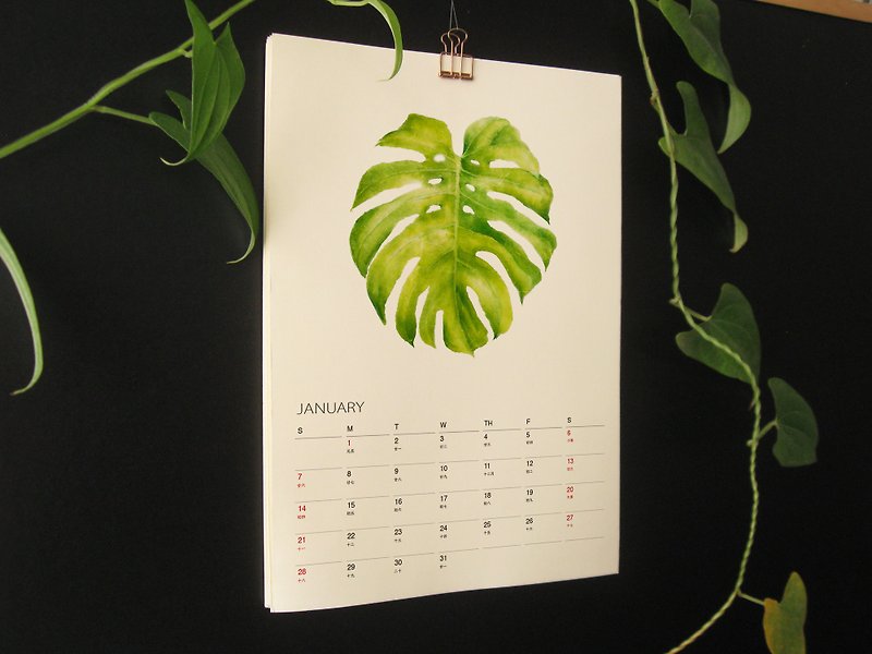 植物的靜默 2024年曆月曆掛曆 給植物愛好者的治癒新年禮物2 - 月曆/年曆/日曆 - 紙 綠色