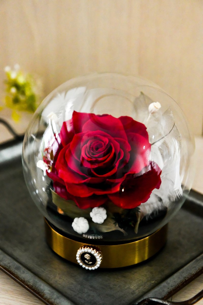 紅玫瑰祈願羽球│Preserved Red Rose With Glass Dome - 擺飾/家飾品 - 植物．花 紅色