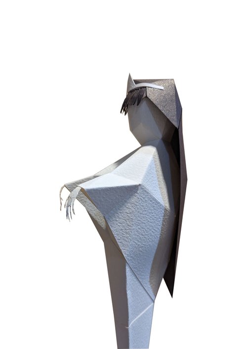 紙哥!陳文泰PaperMan! PaperMan陳文泰 可愛飄飄 紙模型