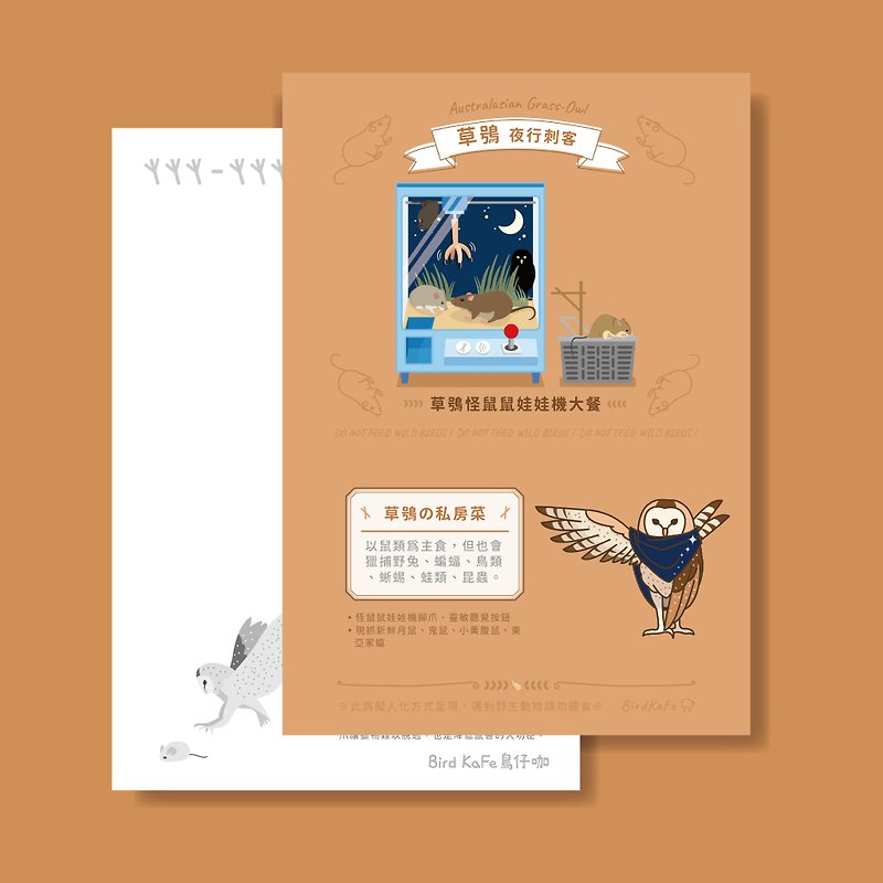 Bird Postcard - Australasian Grass-Owl - การ์ด/โปสการ์ด - กระดาษ สีนำ้ตาล